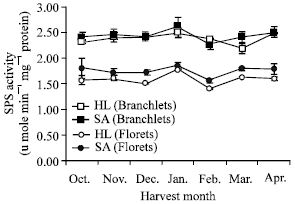 Image for - Seasonal Fluctuations of Some Sucrose Metabolizing Enzymes and Sugar and Organic Acid Contents in Broccoli