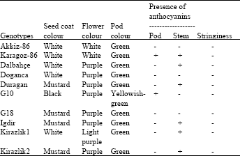 Image for - Fresh Pod Yield and Some Pod Characteristics of Cowpea (Vigna unguiculata  L. Walp.) Genotypes from Turkey