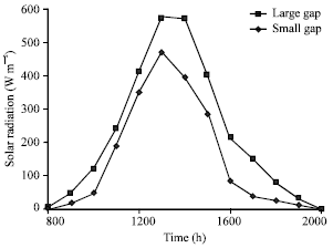 Image for - Air and Soil Temperature Characteristics of Two Sizes Forest Gap in Tropical Forest
