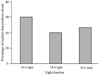 Image for - Effect of Duration of Light:Dark Cycles on in vitro Shoot Regeneration of Tomato