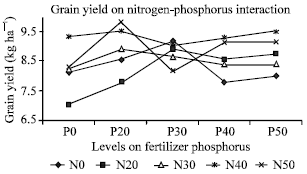 Image for - Effect of Nitrogen and Phosphorus Application on Growth and Yield ofDual-purpose Sorghum (Sorghum bicolor (L) Moench), E1291, in the DryHighlands of Kenya