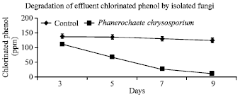 Image for - Decolorization and Degradation of Phenolic Paper Mill Effluent by Native White Rot Fungus Phanerochaete chrysosporium