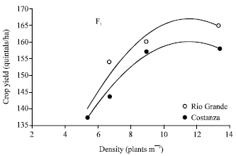 Image for - Plant Density Effects on Grain Yield per Plant in Maize: Breeding Implications