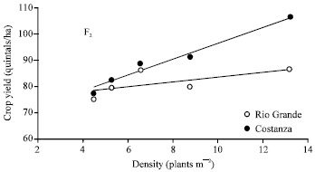 Image for - Plant Density Effects on Grain Yield per Plant in Maize: Breeding Implications