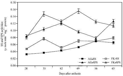 Image for - Changes in Carbohydrate Content and the Activities of Acid Invertase, Sucrose Synthase and Sucrose Phosphate Synthase in Vegetable Soybean During Fruit Development