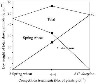 Image for - Competitive Effect of Cynodon dactylon (L.) Pers. on Four Crop Species, Soybean [Glycine max (L.) Merr.], Maize (Zea mays), Spring Wheat (Triticum aestivum) and Faba Bean [Vicia faba (L.)]