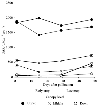Image for - Maize Photosynthesis and Productivity in Relation to Sowing Time in a Mediterranean Environment, Cukurova