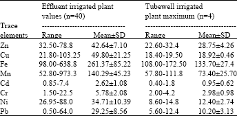 Image for - Toxicity of Trace Elements in Different Vegetables Grown on Potentially Contaminated Sites of the Korangi Industrial Area, Karachi Pakistan