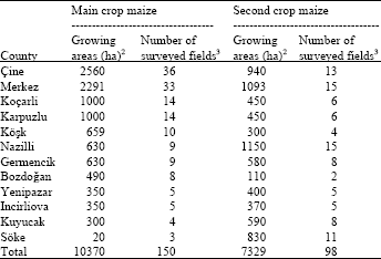 Image for - Comparison of Weed Problems in Main and Second Crop Maize (Zea mays  L.) Growing Areas in Turkey