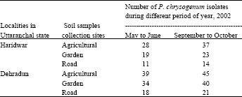 Image for - Prevalence of Penicillium chrysogenum, its Qualitative, QuantitativeDetermination and Antibacterial Activity in Indian Soil