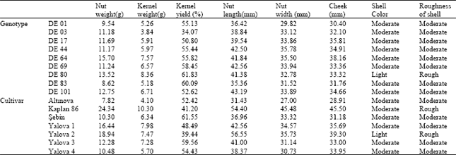 Image for - Fruit Characteristics of Some Turkish Walnut Genotypes and Cultivars (Juglanregia L.)