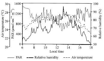 Image for - Adaptive Responses of Soybean and Cotton to Diurnal Changes in Solar Radiation and Leaf Movement