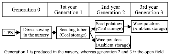 Image for - Storability of Tubers Derived from True Potato Seed (Solanum tuberosum L.) under Ambient Storage Conditions