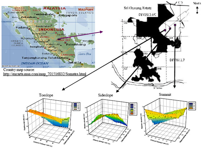 Image for - Spatial Variability of Soil Fertility Variables Influencing Yield in Oil Palm (Elaeis guineensis Jacq.)