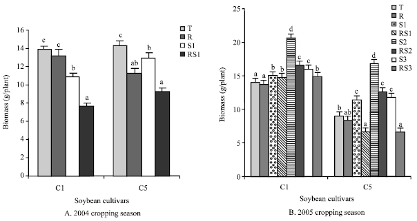 Image for - Responses of Soybean (Glycine max L.) To Soil Solarization and Rhizobial Field Inoculation at Dang Ngaoundere, Cameroon