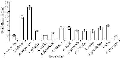 Image for - One-year Field Performance of Some Acacia and Prosopis Species in Saudi Arabia