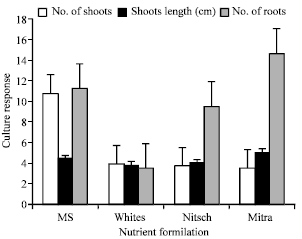 Image for - Factors Affecting the in vitro Multiplication of the Endemic Zingiber Curcuma haritha Mangaly and Sabu