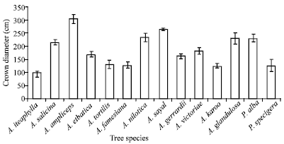 Image for - One-year Field Performance of Some Acacia and Prosopis Species in Saudi Arabia