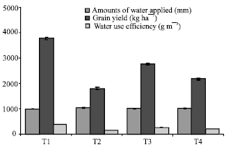 Image for - Effect of Reuse Drainage Water Management on Rice Growth, Yield and Water Use Efficiency under Saline Soils of Egypt