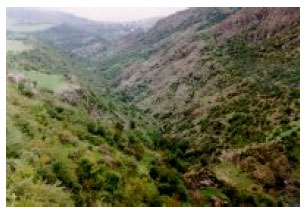 Image for - The Pytosociological Characteristics of Ecosystems of Mountain of Talysh Region of Azerbaijan