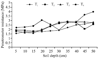 Image for - Effects of Different Tillage Methods on Soil Physical Properties under Second Crop Sesame in the Harran Plain, Southeast Turkey