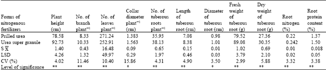Image for - Nitrogen Fertilizer Effect on the Agronomic Aspects of Asparagus racemosus