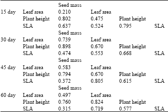 Image for - Response of Morphological Plasticity of Three Herbaceous Seedlings to Light and Nutrition in the Qing-hai Tibetan Plateau