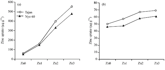 Image for - Effects of Soil and Foliar Application of Zn Fertilizer on Yield and Growth Characteristics of Bread Wheat (Triticum aestivum L.) Cultivars