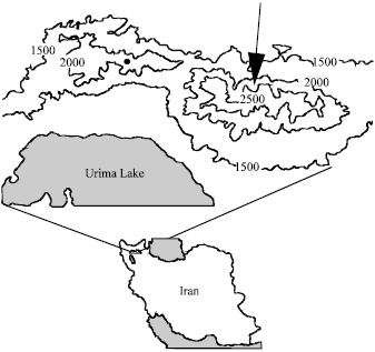 Image for - Demographic Study of Juniperus communis L. on Mishu-Dagh Altitudes in North West of Iran
