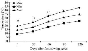 Image for - Effect of Density, Cultivars and Sowing Date on Onion Sets Production