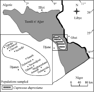 Image for - Genetic Diversity in Foliar Terpinoids Among Natural Populations of Cupressus dupreziana in Tassili n`Ajjer (Algeria)