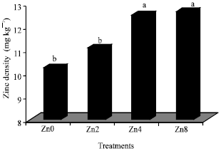 Image for - Effect of Zinc and Manganese Foliar Application on Yield, Quality and Enrichment on Potato (Solanum tuberosum L.)