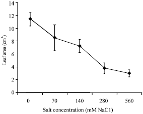 Image for - Physiological Changes in Seedlings of Talinum triangulare (Water Leaf) Grown in Saline Conditions
