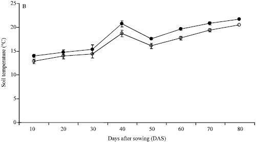 Image for - Effects of Mulching on the Activity of Acid Invertase and Sugar Contents in Japanese Radish