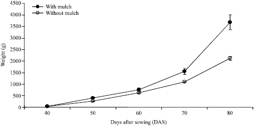 Image for - Effects of Mulching on the Activity of Acid Invertase and Sugar Contents in Japanese Radish