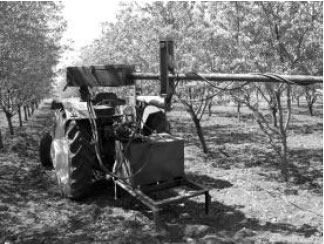 Image for - Mechanical Harvesting of Almond with an Inertia Type Limb Shaker