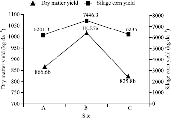 Image for - Management Effect on Soil Characteristics and Yield in Second Crop Corn Grown in Tokat, Turkey