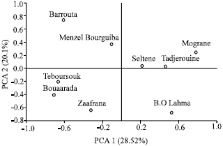 Image for - Comparative Study on Hypericum triquetrifolium Turra Fatty Acids