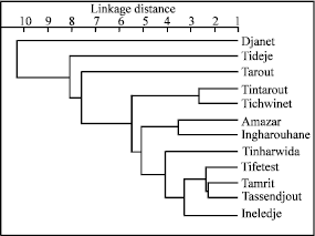 Image for - Genetic Diversity in Foliar Terpinoids Among Natural Populations of Cupressus dupreziana in Tassili n`Ajjer (Algeria)