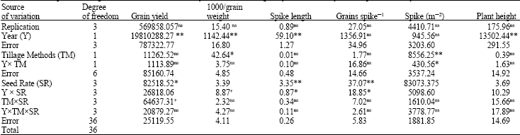 Image for - Tillage Method and Seed Rate Effects on Dryland Winter Wheat