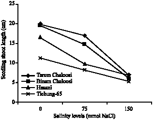 Image for - Evaluation of Rice (Oryza sativa L.) Cultivars Response to Salinity Stress Through Greenhouse Experiment and Tissue Culture Technique