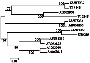Image for - Molecular Characterization of Low Molecular Weight Glutenin Genes from Yunnan Hulled Wheat (Triticum aestivum subsp.yunnanense King)