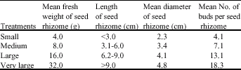 Image for - The Effects of Seed Rhizome Size on the Growth, Yield and Economic Return of Ginger (Zingiber officinale Rosc.)