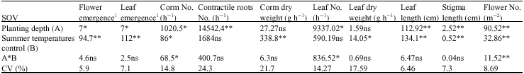 Image for - Effect of Planting Depth and Soil Summer Temperature Control on  Growth and Yield of Saffron (Crocus sativus L.)