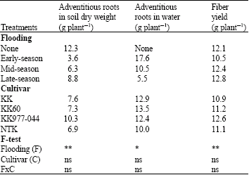 Image for - Effects of Flooding on Growth, Yield and Aerenchyma Development in Adventitious Roots in Four Cultivars of Kenaf (Hibiscus cannabinus L.)