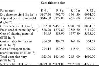 Image for - The Effects of Seed Rhizome Size on the Growth, Yield and Economic Return of Ginger (Zingiber officinale Rosc.)