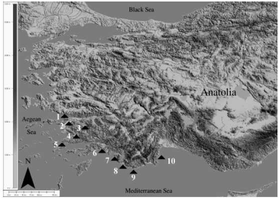 Image for - An Assessment on Bioclimatic Requirements of Endemic Quercus aucheri Jaub. et Spach. Communities Spreading South-West Anatolia, Turkey