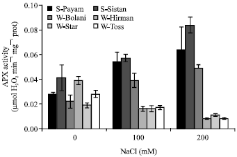 Image for - Antioxidant Activity and Osmolyte Concentration of Sorghum (Sorghum bicolor) and Wheat (Triticum aestivum) Genotypes under Salinity Stress
