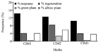Image for - Effect of Genotype and Callus Induction Medium on Green Plant Regeneration from Anther of Nepalese Rice Cultivars