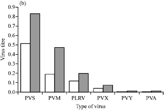 Image for - Incidence of Aphid-Transmitted Viruses in Farmer-Based Seed Potato Production in Kenya